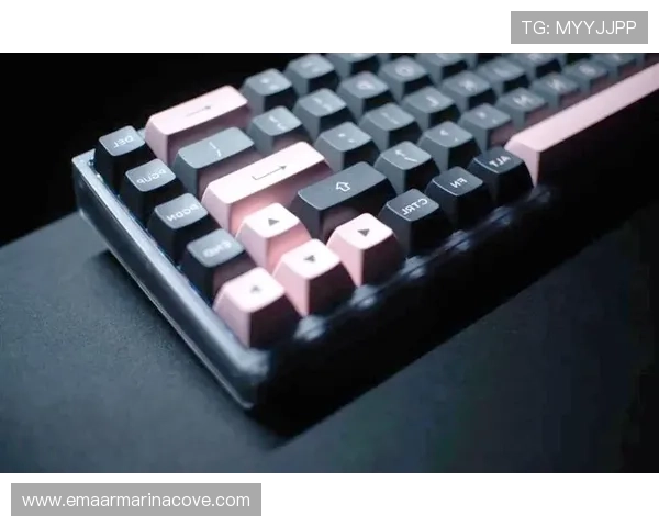 了解ttc键盘官网的品牌历史与发展历程,感受ttc键盘的专业制造实力