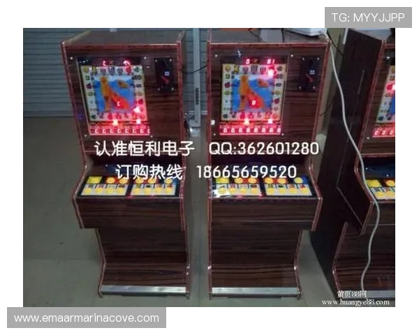 最新老虎机游戏机销售点信息及购买价格分析